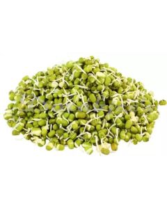 DORABJEES DCVEG SPROUTED MOONG