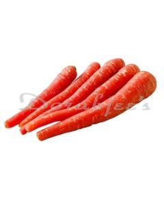 DORABJEES RED CARROT