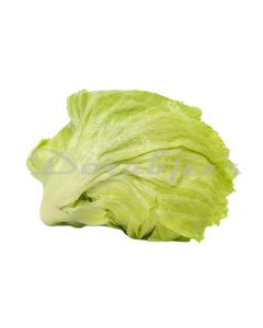 DORABJEES  ICEBURG LETTUCE