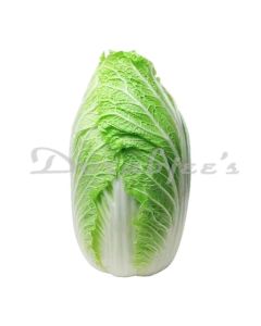 DORABJEES DCVEG CHINESE CABBAGE