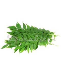 DORABJEES DCVEG CURRY LEAVES KADIPATTA BUNCH