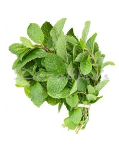 DORABJEES DCVEG MINT LEAVES PACKET