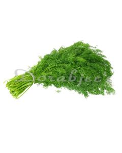 DORABJEES DCVEG SHAPOO DILL LEAVES BUNCH