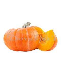 DORABJEES DCVEG PUMPKIN RED