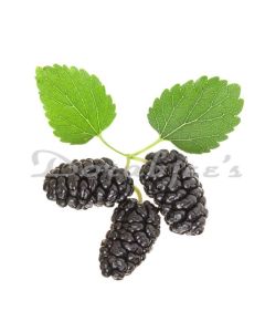 DORABJEES MULBERRY PACK 200G