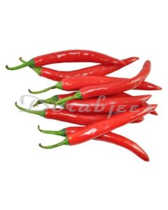 DORABJEES DCNF CHILLI RED 30 G