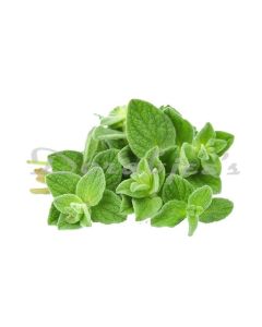 DORABJEES DCNF OREGANO 30 G