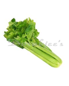 DORABJEES NUTRI FRESH CELERY 100G