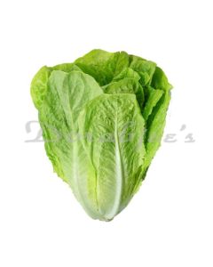 DORABJEES NUTRI FRESH ROMAINE HEAD