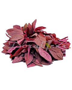 DORABJEES NUTRI FRESH RED AMARANTHUS 200G