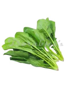 DORABJEES NUTRI FRESH BABY SPINACH 100G