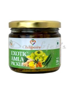 LEHBERRY EXOCTIC AMLA PICKLES 300G