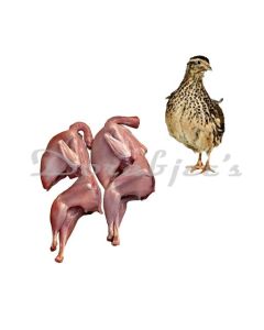 FROZEN QUAIL 2PC