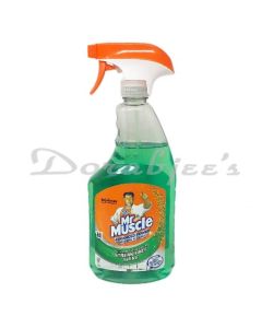 MR MUSCLE WINDOW CLEANER 750ML