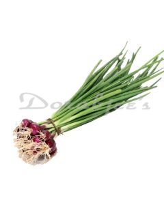 DORABJEES DCVEG SPRING ONION BUNCH