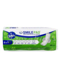 SMILEPAD SUPER ABSORPTION DRY NET REGULAR SANITARY PADS 6S 50G